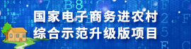 國(guó)家電子商務(wù)進(jìn)農(nóng)村綜合示范升級(jí)版項(xiàng)目