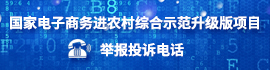國(guó)家電子商務(wù)進(jìn)農(nóng)村綜合示范升級(jí)版項(xiàng)目舉報(bào)投訴電話(huà)